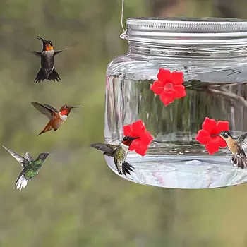 Suprimentos para animais de estimação Lindo Beija-flor Alimentador Frasco de vidro com Portas de Flores Pendurados Alimentador do Pássaro Exterior, Jardim, Corredor, Varanda Decoração