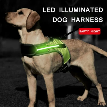 Luminosa Harness Dog com Luz LED Reflexivo do animal de Estimação Cinta Colete para Cães Grandes Caminhadas ao ar livre de Segurança Acessórios para Cães